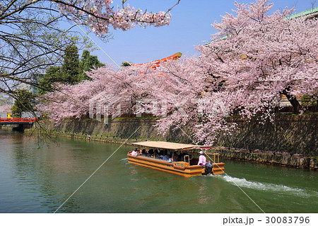 京都　春の琵琶湖疎水 30083796