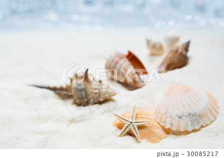 海辺のイメージ 30085217