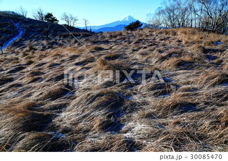 大菩薩連嶺・ハマイバ丸の降霜の草原と富士山 大菩薩連嶺・ハマイバ丸の降霜の草原と富士山 30085470