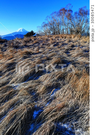 大菩薩連嶺・ハマイバ丸の降霜の草原と富士山 大菩薩連嶺・ハマイバ丸の降霜の草原と富士山 30085471