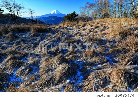 大菩薩連嶺・ハマイバ丸の降霜の草原と富士山 大菩薩連嶺・ハマイバ丸の降霜の草原と富士山 30085474