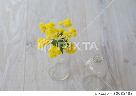 クスリビンに生けたパールアカシア 30085488