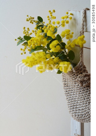 麻袋に飾ったパールアカシア 30085498