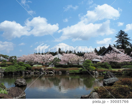 富士とさくら咲く日本庭園 30085766