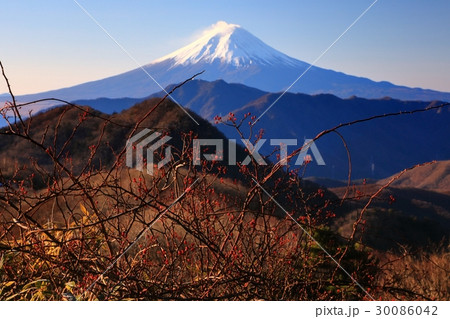 大菩薩連嶺・ハマイバ丸付近から見る富士山 30086042