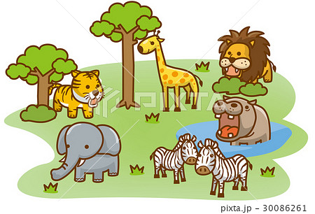 草原の動物達 30086261
