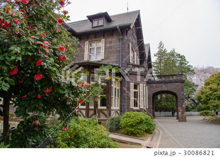【東京】旧古河庭園、椿の生垣 30086821