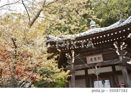 【和歌山県】紀三井寺と桜（六角堂） 30087382