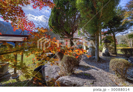 autumn leaves 30088014