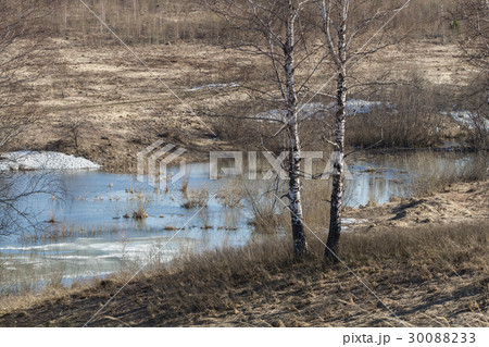 Springtime Springtime 30088233