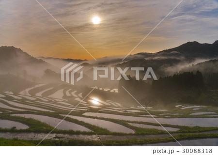 【千葉県】大山千枚田の夜明け 【千葉県】大山千枚田の夜明け 30088318