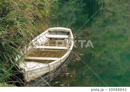 観光地 台北 台北市 30088842