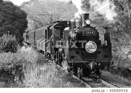 大井川鉄道SLフェスタ 30089438