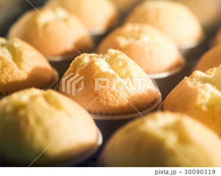 ケーキ ケーキ各種 トルテ 30090319