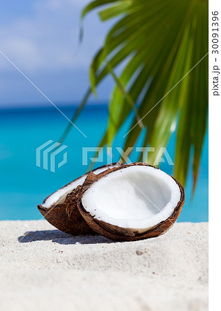 Broken brown coconut on sandy beach Broken brown coconut on sandy beach 30091396