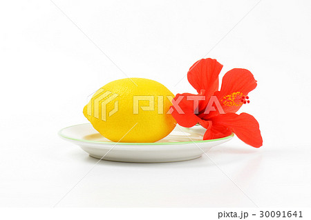 ripe lemon with red hibiscus bloom 30091641