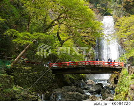 大阪府箕面公園 滝見橋と箕面大滝 30094720