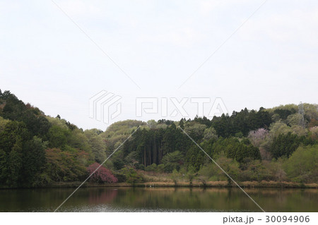 那珂市の古徳沼 那珂市の古徳沼 30094906