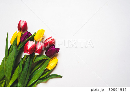 Tulips view above,greeting card Tulips view above,greeting card 30094915
