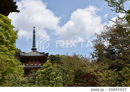 青空と三重塔 30095037