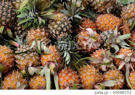 Ripe pineapple fruit Ripe pineapple fruit 30096253