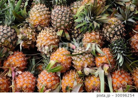 Ripe pineapple fruit 30096254