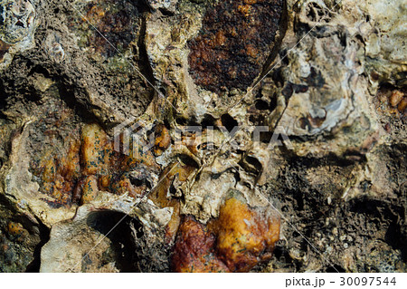 Texture of sea stone with rust. 30097544