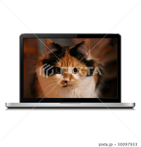 Laptop with cat on screen Laptop with cat on screen 30097933