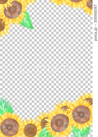 向日葵賀卡 向日葵賀卡 30098097