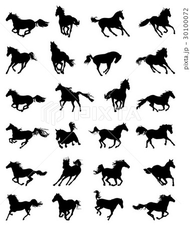 silhouettes of galloping horses 30100072