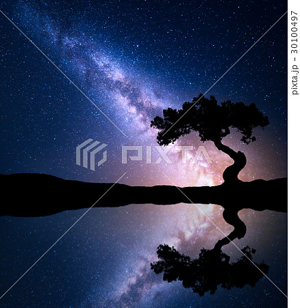 Night scene with Milky Way and old tree Night scene with Milky Way and old tree 30100497