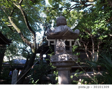 奥澤神社 奥澤神社 30101309