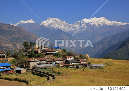 Village and snow capped Manaslu range. Village and snow capped Manaslu range. 30101402