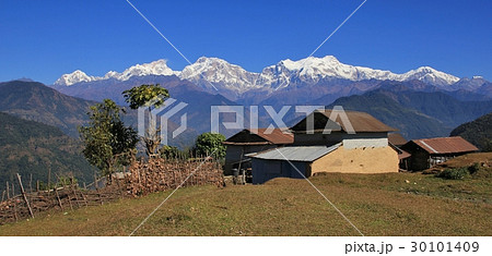 Houses and fig tree in front of mountains 30101409