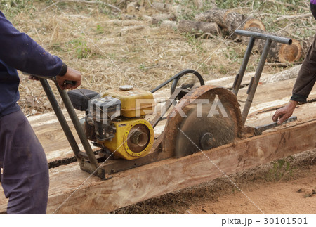 Sawmilling 30101501
