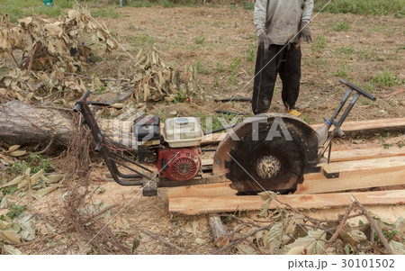 Sawmilling 30101502