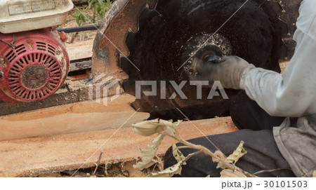 Sawmilling 30101503