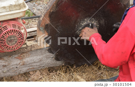 Sawmilling 30101504