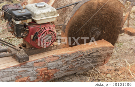 Sawmilling 30101506