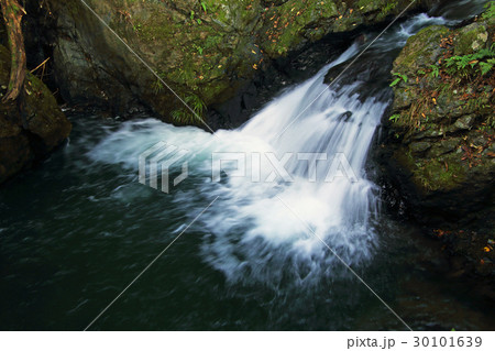 小仏川の小滝 裏高尾 小仏川の小滝 裏高尾 30101639