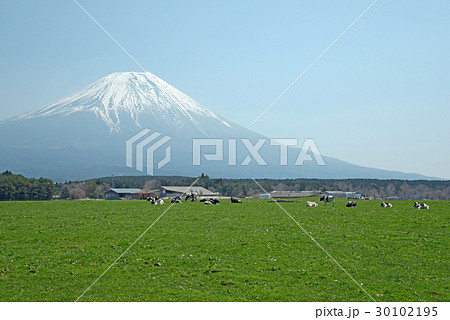 朝霧高原 朝霧高原 30102195