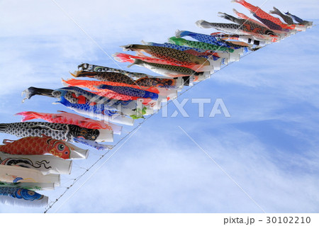 大空を元気よく泳ぐ鯉のぼり 30102210