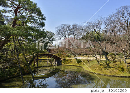 桂離宮　池泉回遊式庭園 30102269