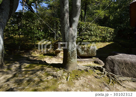 桂離宮　外腰掛　二重桝形の手水鉢と灯籠 30102312
