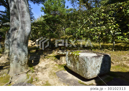 桂離宮　外腰掛　二重桝形の手水鉢と灯籠 30102313