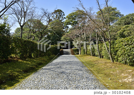 桂離宮　表門 30102408