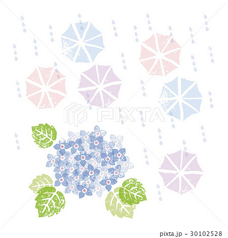 梅雨の季節 ブルーの紫陽花の花と傘のイラスト素材