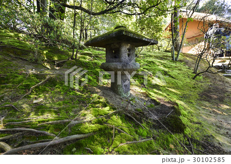 桂離宮　水螢の石灯籠 30102585