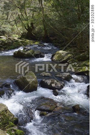 八重滝(島根県) 八重滝(島根県) 30102886