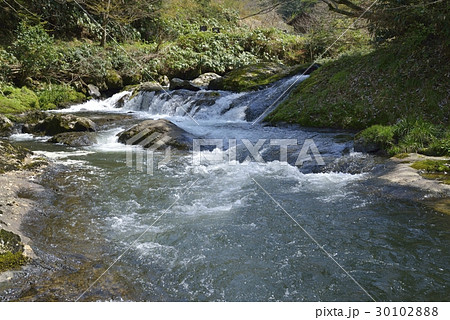 八重滝(島根県) 八重滝(島根県) 30102888